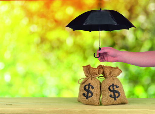 Income Protection Available To Members