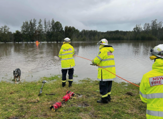 PSA Fights Bullying At The Rural Fire Service