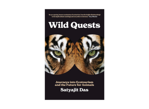 Wild Quests