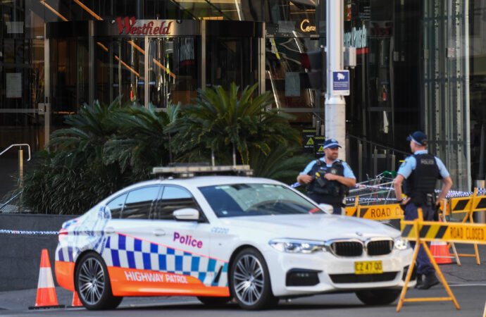 Service NSW members win praise