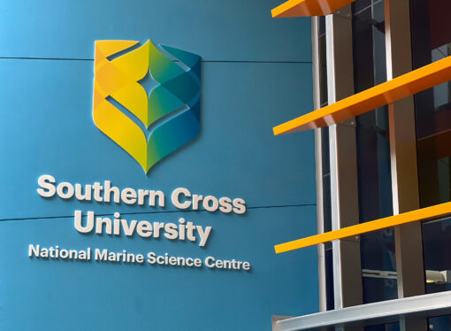 University leaders slammed in Senate report