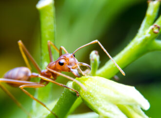 Assistant General Secretary points to agricultural jobs shortfall