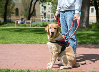 PSA CPSU NSW to hold Disability Conference