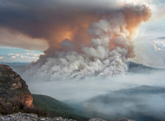 Natural Disasters Prove Value of Public Service