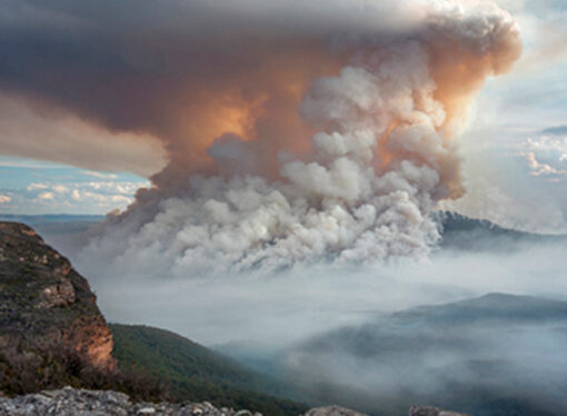 Natural Disasters Prove Value of Public Service