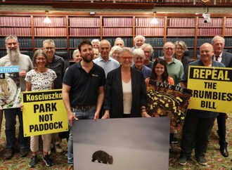 Threatened Species Council Thanks PSA for Campaign