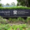 Lu’s admission welcome news for Wollongong