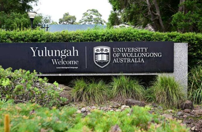 Lu’s admission welcome news for Wollongong