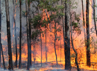 The Case For An Updated NSW Rural Fire Service Award