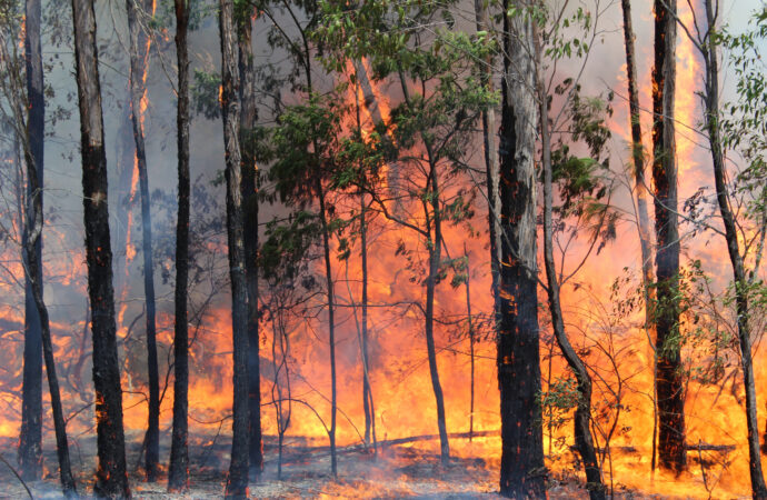 The Case For An Updated NSW Rural Fire Service Award